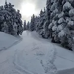Waldzauber