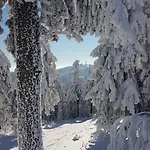 Waldzauber