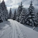 Waldzauber Bärenstein