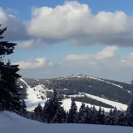 Waldzauber Bärenstein